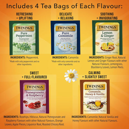 Twinings Wild Berries Herbal Tea Individually Wrapped Bags, 20 Count (Pack of 1), Full-Flavoured, Naturally Caffeine-Free, Enjoy Hot or Iced, 20 Teabags