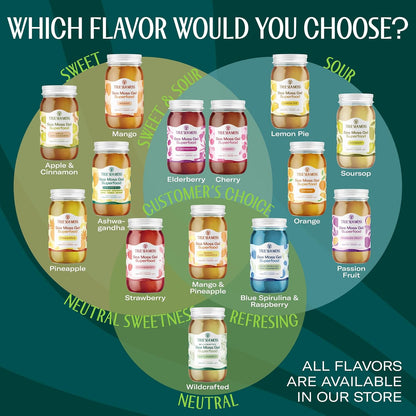 TrueSeaMoss Sea Moss Gel – Made in USA – Wildcrafted Seamoss, Dried Seaweed & Jarred Vegetables – Original, Pack of 1 (Labels may Vary)