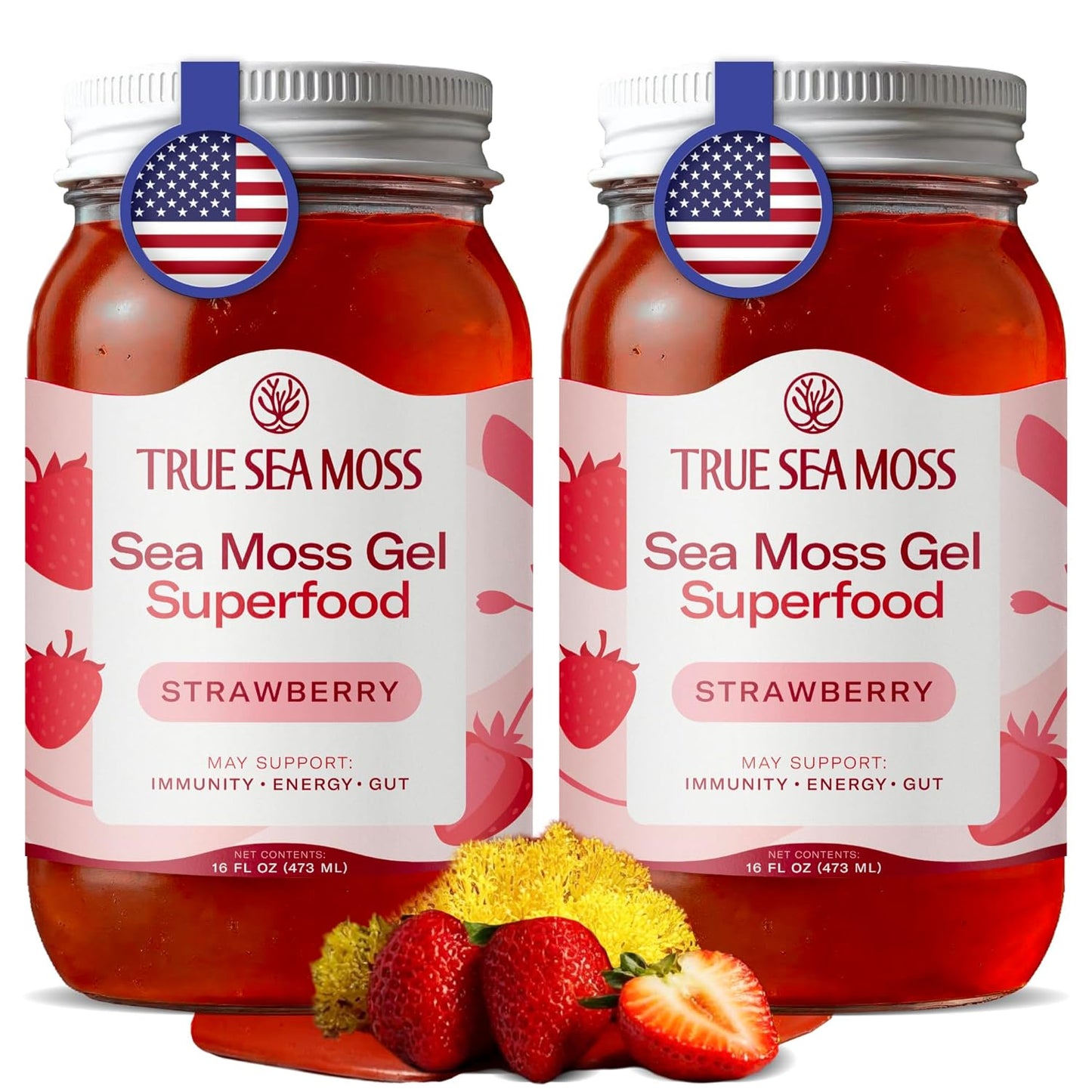 TrueSeaMoss Sea Moss Gel – Made in USA – Wildcrafted Seamoss, Dried Seaweed & Jarred Vegetables – Original, Pack of 1 (Labels may Vary)