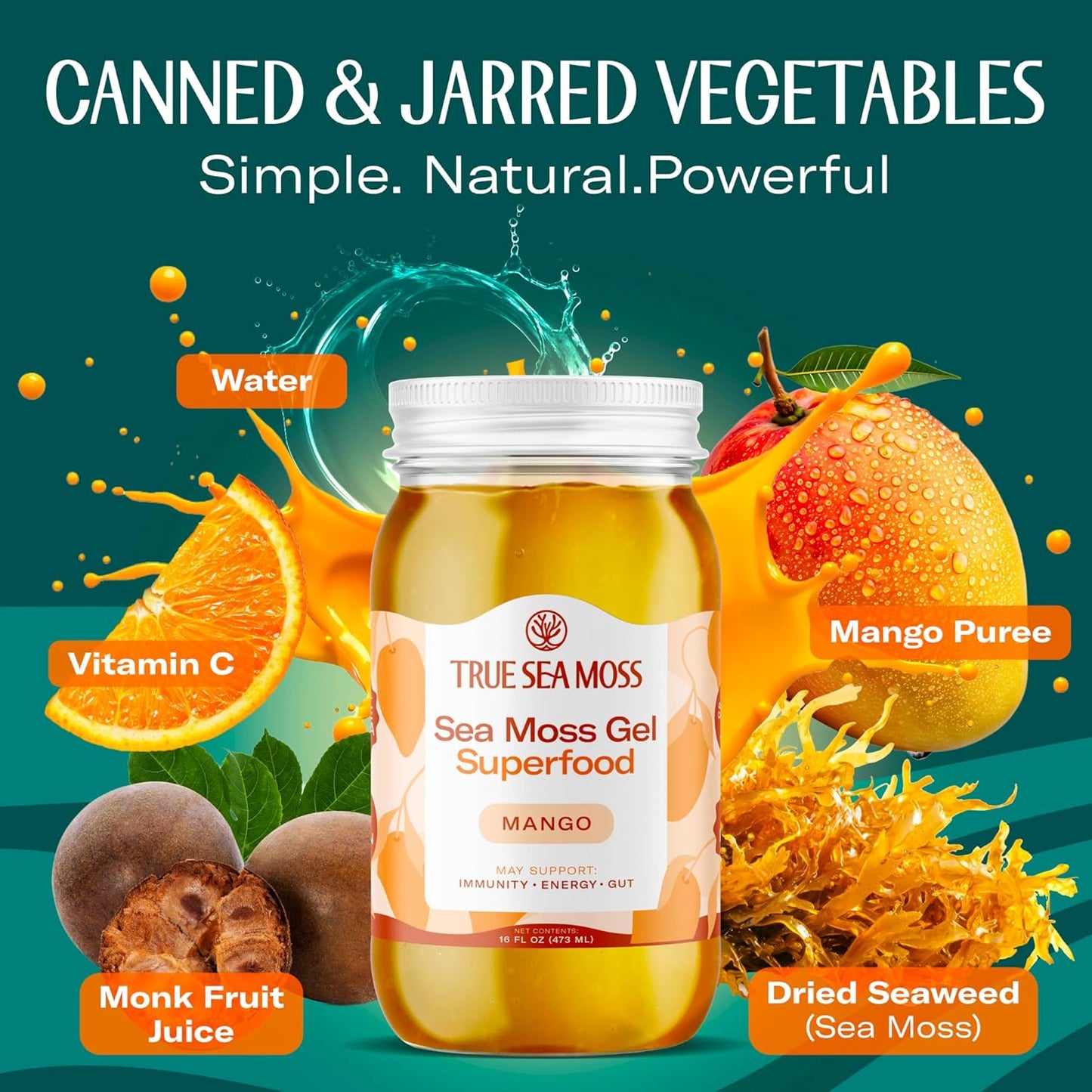 TrueSeaMoss Sea Moss Gel – Made in USA – Wildcrafted Seamoss, Dried Seaweed & Jarred Vegetables – Original, Pack of 1 (Labels may Vary)