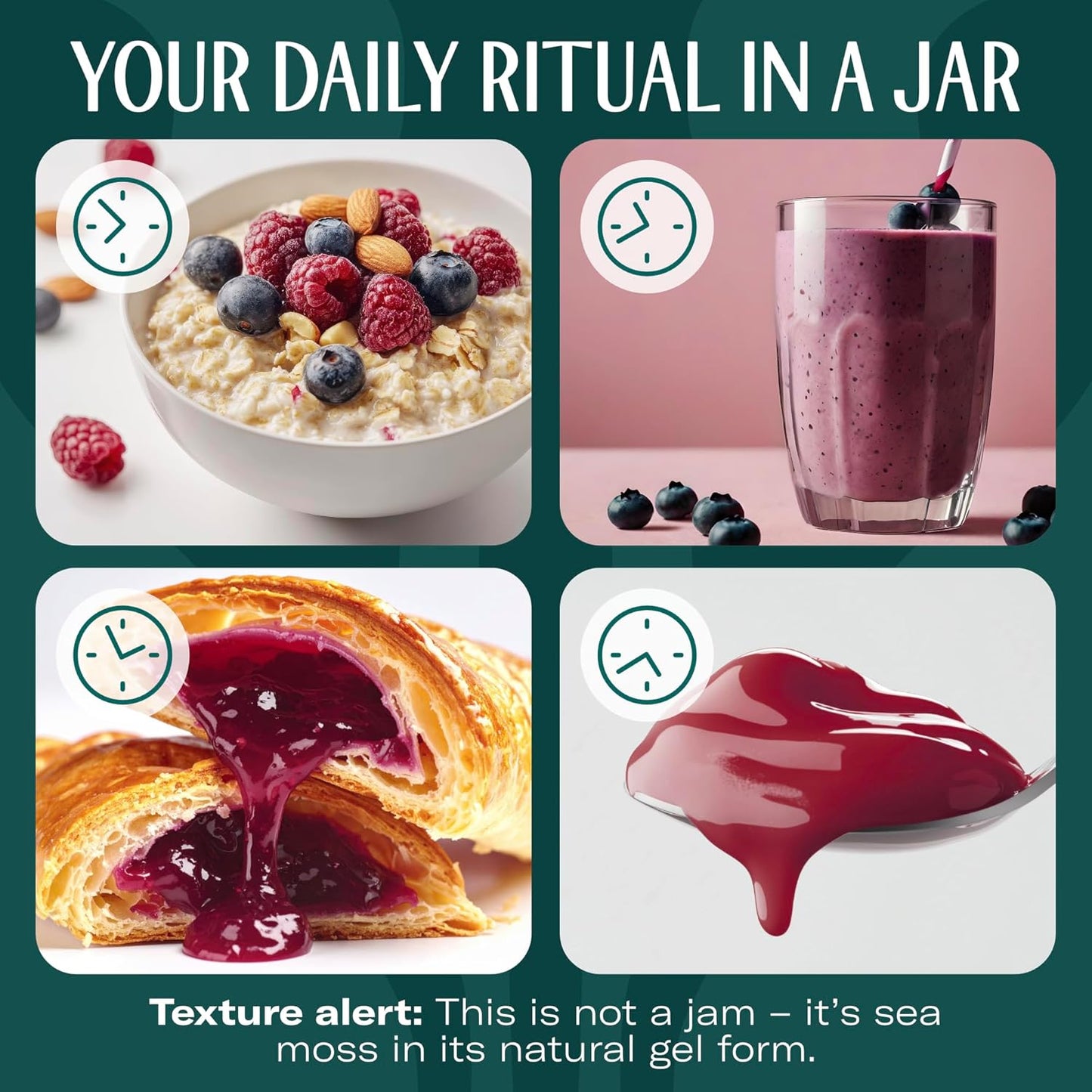 TrueSeaMoss Sea Moss Gel – Made in USA – Wildcrafted Seamoss, Dried Seaweed & Jarred Vegetables – Original, Pack of 1 (Labels may Vary)