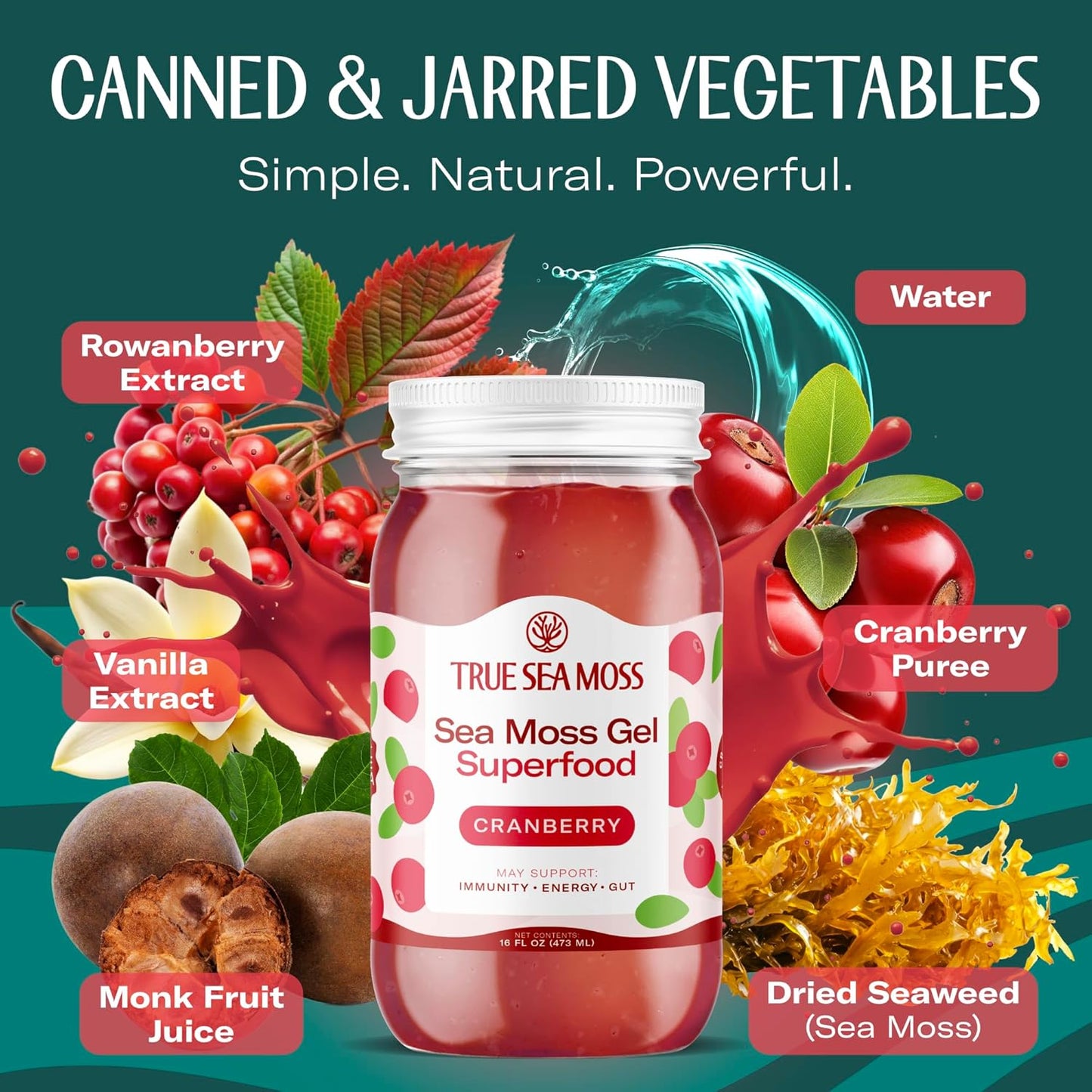 TrueSeaMoss Sea Moss Gel – Made in USA – Wildcrafted Seamoss, Fresh Fruits & Sea Vegetables – Cherry, Pack of 1 (Labels May Vary)