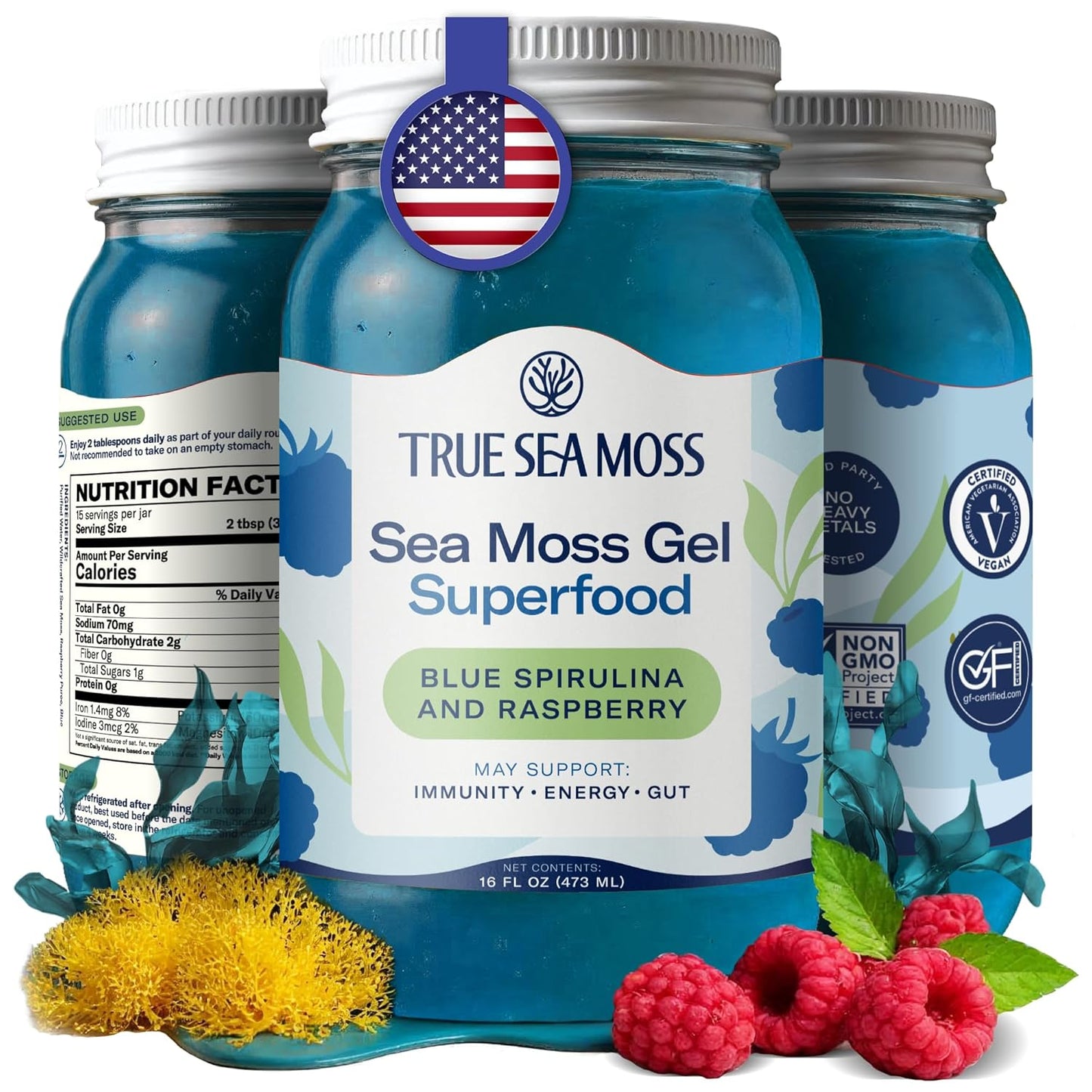 TrueSeaMoss Sea Moss Gel – Made in USA – Wildcrafted Seamoss, Dried Seaweed & Jarred Vegetables – Original, Pack of 1 (Labels may Vary)