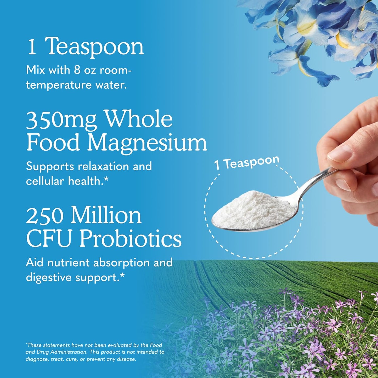 Garden of Life Dr. Formulated Magnesium Powder, Raspberry Lemon, 85 Doses
