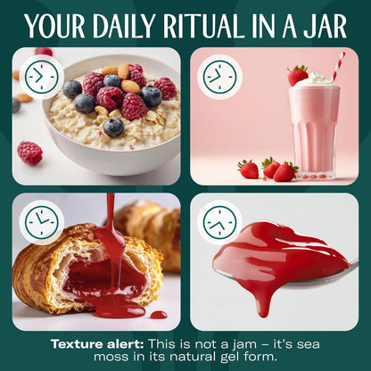 TrueSeaMoss Sea Moss Gel – Made in USA – Wildcrafted Seamoss, Dried Seaweed & Jarred Vegetables – Original, Pack of 1 (Labels may Vary)