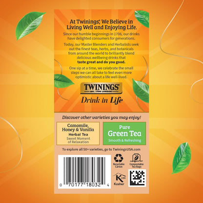 Twinings Wild Berries Herbal Tea Individually Wrapped Bags, 20 Count (Pack of 1), Full-Flavoured, Naturally Caffeine-Free, Enjoy Hot or Iced, 20 Teabags