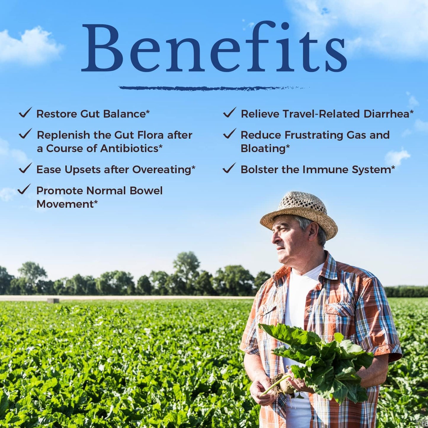 Vitalitown Probiotics 200 Billion CFUs 36 Strains | Shelf Stable, Acid & Bile Resistant | Intensive Digestive & Immune Support | Men & Women Probiotics | Vegan Non-GMO | 60 ct