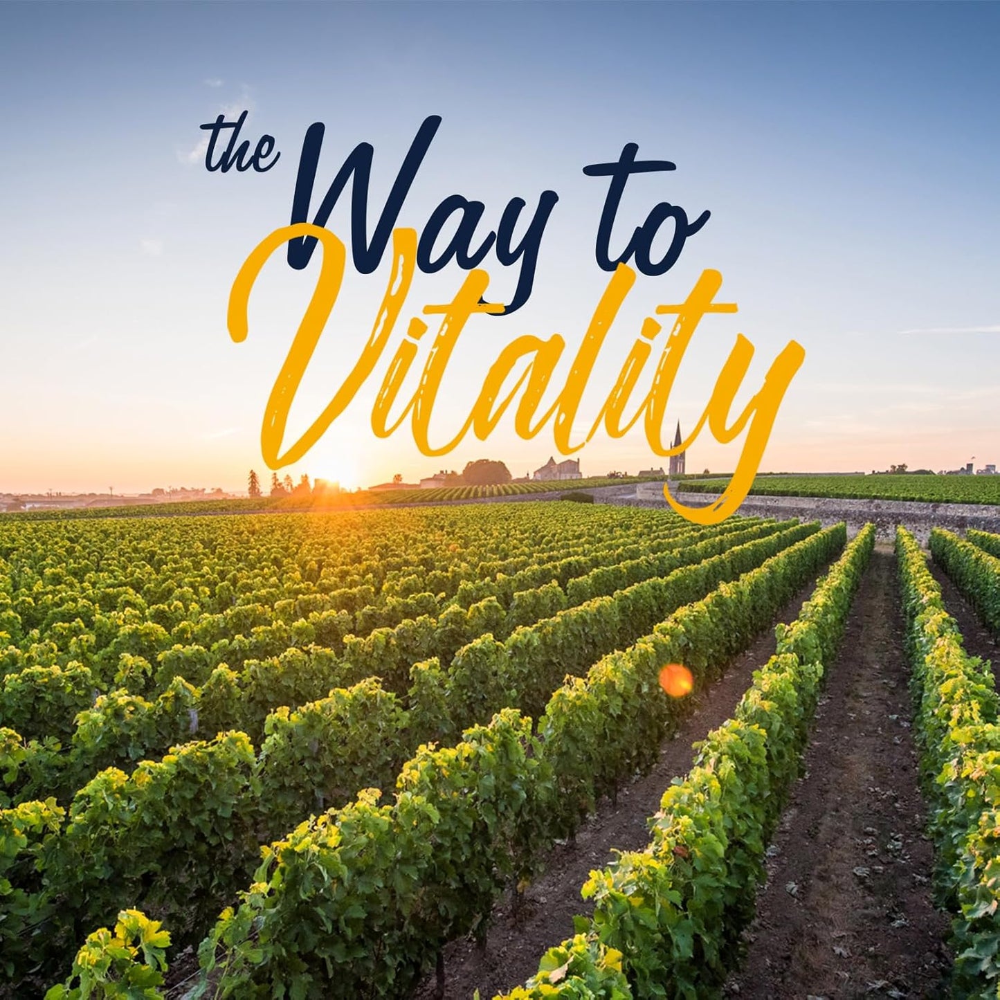 Vitalitown Vitamin D3 K2 Supplement, Vitamin D3 10000 IU Vitamin K2 (MK7) 200 mcg, 90 Softgels, Non-GMO, No Gluten & Soy, for Bone, Teeth, Immune & Heart Health