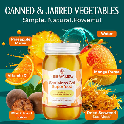 TrueSeaMoss Sea Moss Gel – Made in USA – Wildcrafted Seamoss, Dried Seaweed & Jarred Vegetables – Original, Pack of 1 (Labels may Vary)