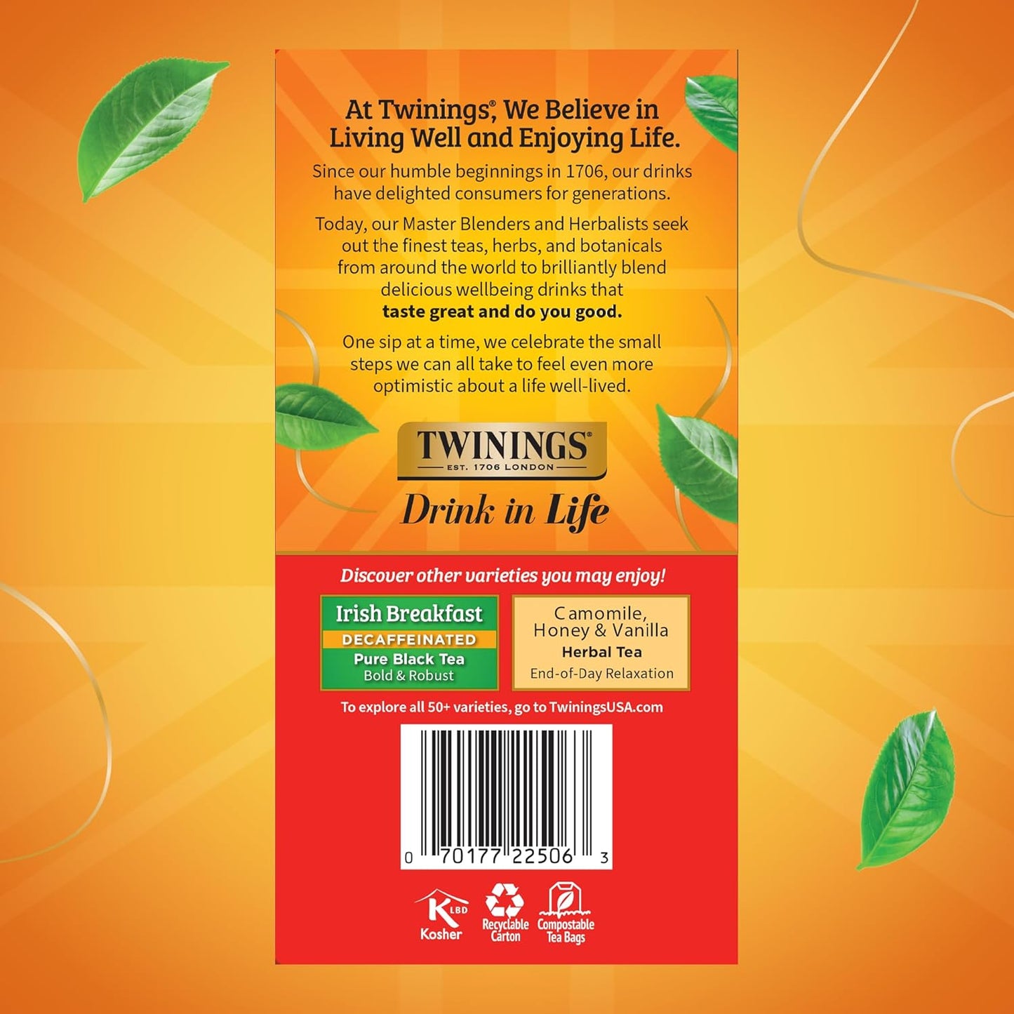 Twinings Wild Berries Herbal Tea Individually Wrapped Bags, 20 Count (Pack of 1), Full-Flavoured, Naturally Caffeine-Free, Enjoy Hot or Iced, 20 Teabags