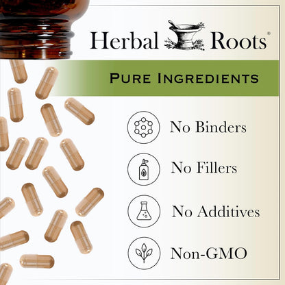 Herbal Roots Panax Ginseng - Organic Korean Ginseng Root Powder - 1000mg - High Ginsenosides for Energy, Focus & Performance - 60 Vegan Capsules Made in The USA