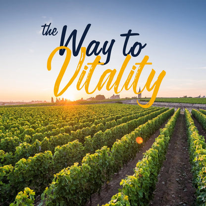 Vitalitown Probiotics 200 Billion CFUs 36 Strains | Shelf Stable, Acid & Bile Resistant | Intensive Digestive & Immune Support | Men & Women Probiotics | Vegan Non-GMO | 60 ct