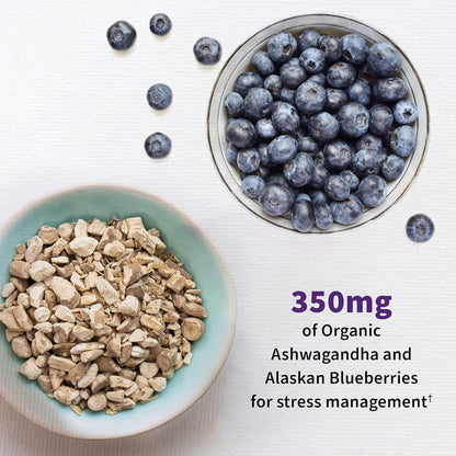 Garden of Life Probiotics Mood+ Dr Formulated Acidophilus Probiotic Supplement - Promotes Emotional Well-Being, Relaxation and Digestive Balance - Ashwagandha for Stress Management, 60 Veggie Caps