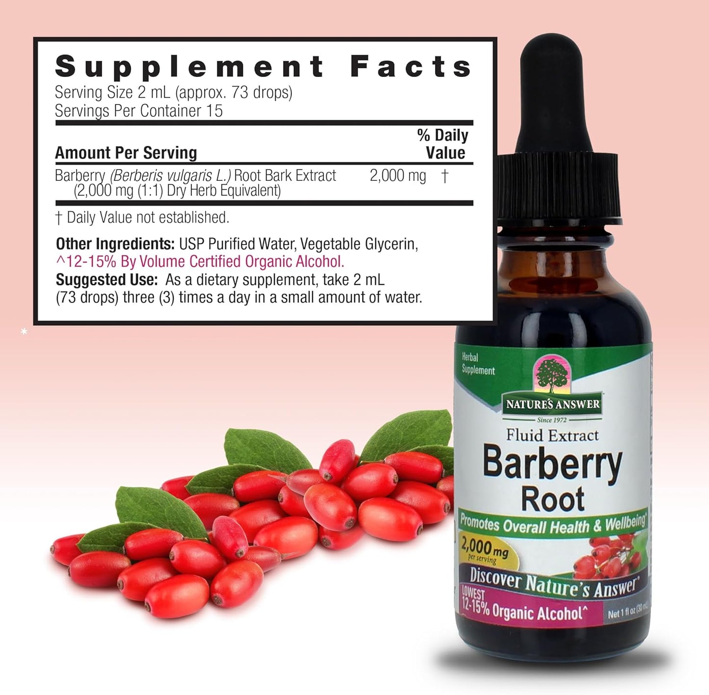 Nature's Answer Barberry Root with Organic Low Alcohol, 1-Fluid Ounce | Promotes Immune Function | Supports Digestive Health