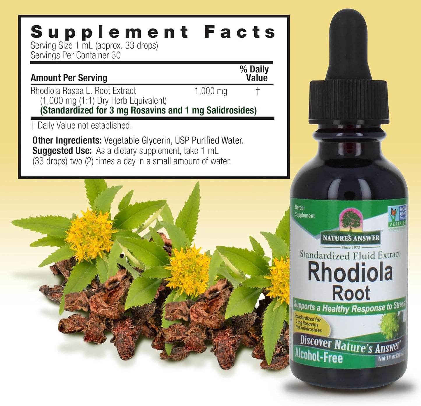 Nature's Answer Rhodiola Root | Super Concentrated Herbal Supplement | Helps Aid & Reduce Stress | Alcohol-Free, Gluten-Free and Kosher Certified 1oz