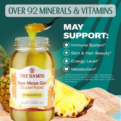 TrueSeaMoss Sea Moss Gel – Made in USA – Wildcrafted Seamoss, Dried Seaweed & Jarred Vegetables – Original, Pack of 1 (Labels may Vary)
