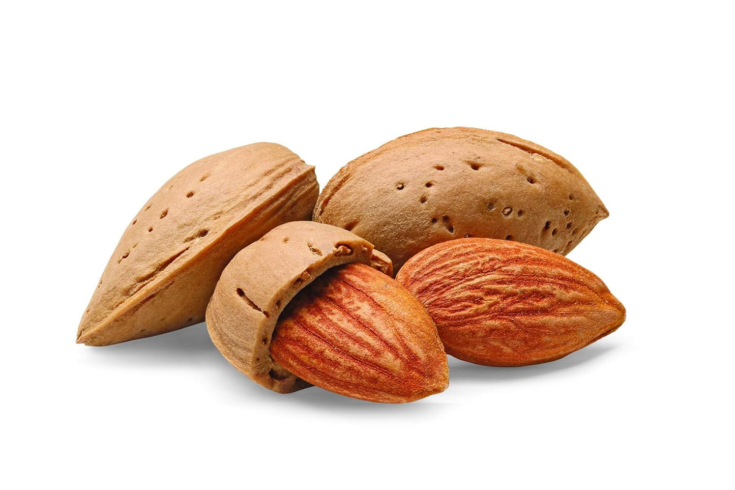 Watkins Organic Pure Vanilla Alcohol Free Flavoring, 2 Fl. Oz (Pack of 1)