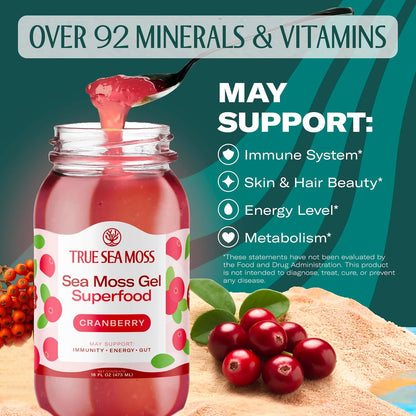 TrueSeaMoss Sea Moss Gel – Made in USA – Wildcrafted Seamoss, Fresh Fruits & Sea Vegetables – Cherry, Pack of 1 (Labels May Vary)