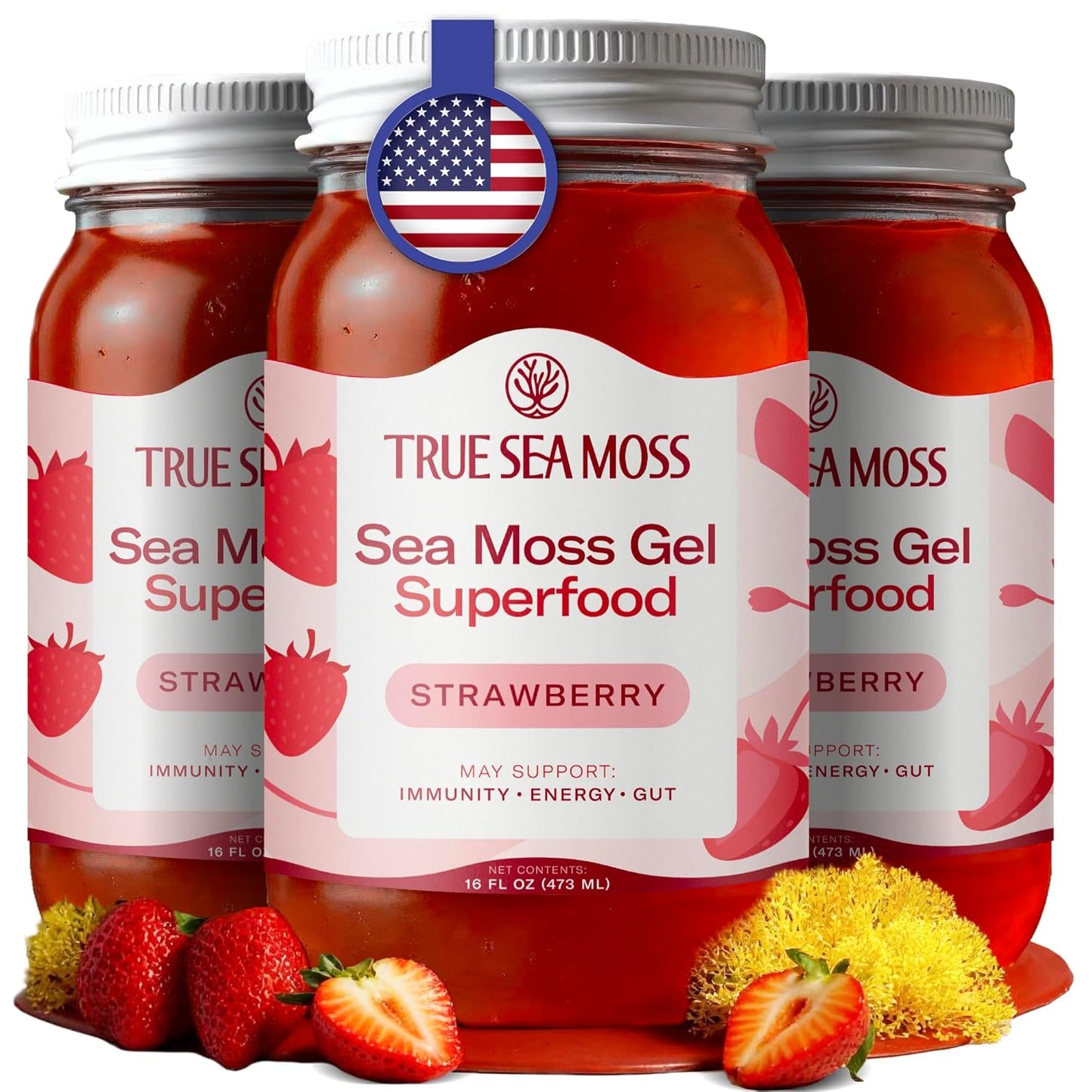 TrueSeaMoss Sea Moss Gel – Made in USA – Wildcrafted Seamoss, Dried Seaweed & Jarred Vegetables – Original, Pack of 1 (Labels may Vary)