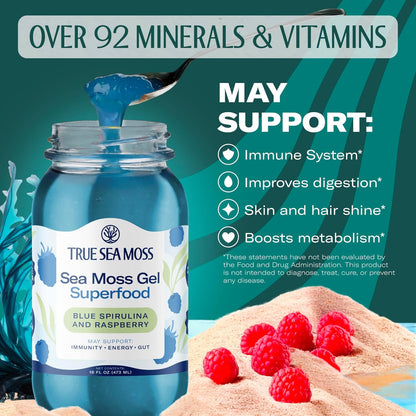 TrueSeaMoss Sea Moss Gel – Made in USA – Wildcrafted Seamoss, Fresh Fruits & Sea Vegetables – Apple/Cinnamon, Pack of 1 (Labels may Vary)