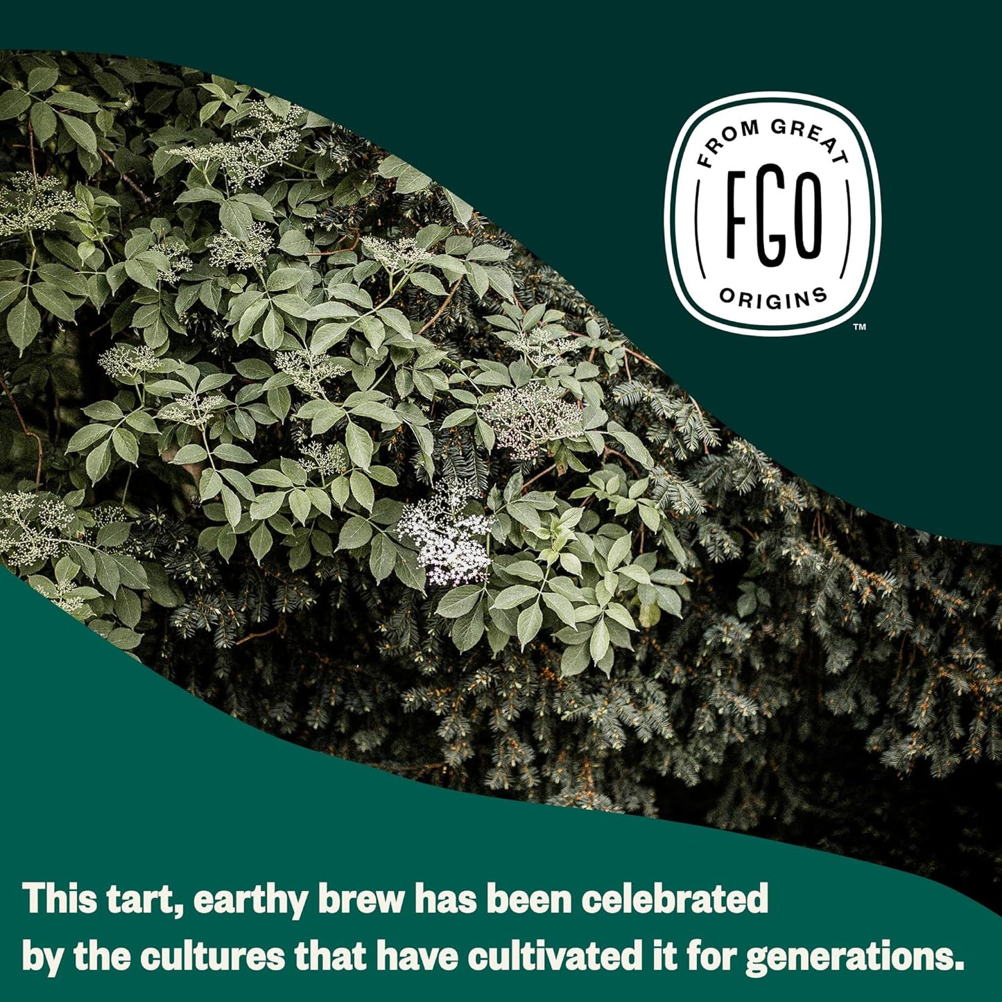FGO Organic Nettle Leaf Tea, 100 Count, Eco-Conscious Tea Bags, Caffeine Free, Resealable Bag, Packaging May Vary (Pack of 1)