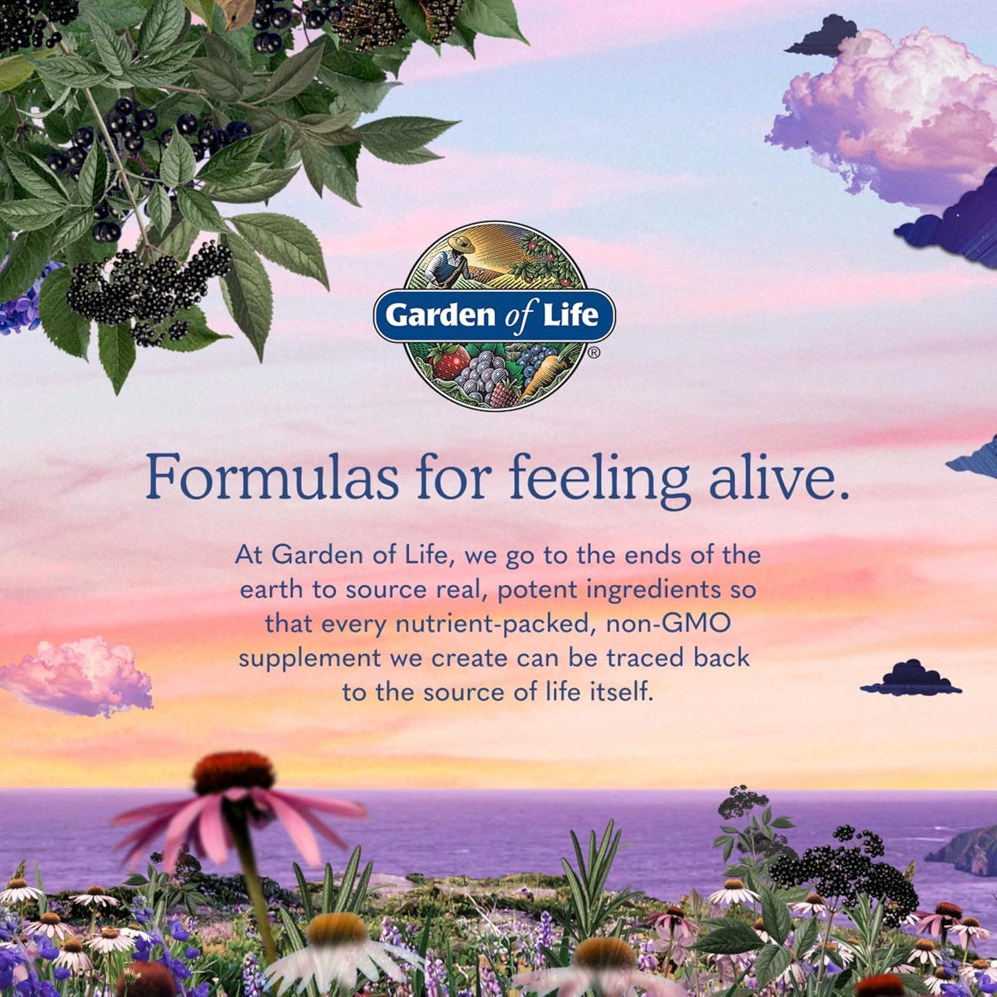 Garden of Life Vitamin Code Raw Zinc Supplement 30mg with Vitamin C, Whole Food Supplement for Immune Support, Skin Health, Eye Health and Prostate Health, 60 Vegan Capsules