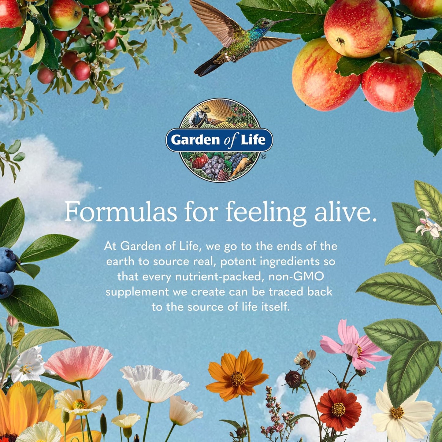 Garden of Life Dr. Formulated Magnesium Powder, Raspberry Lemon, 85 Doses