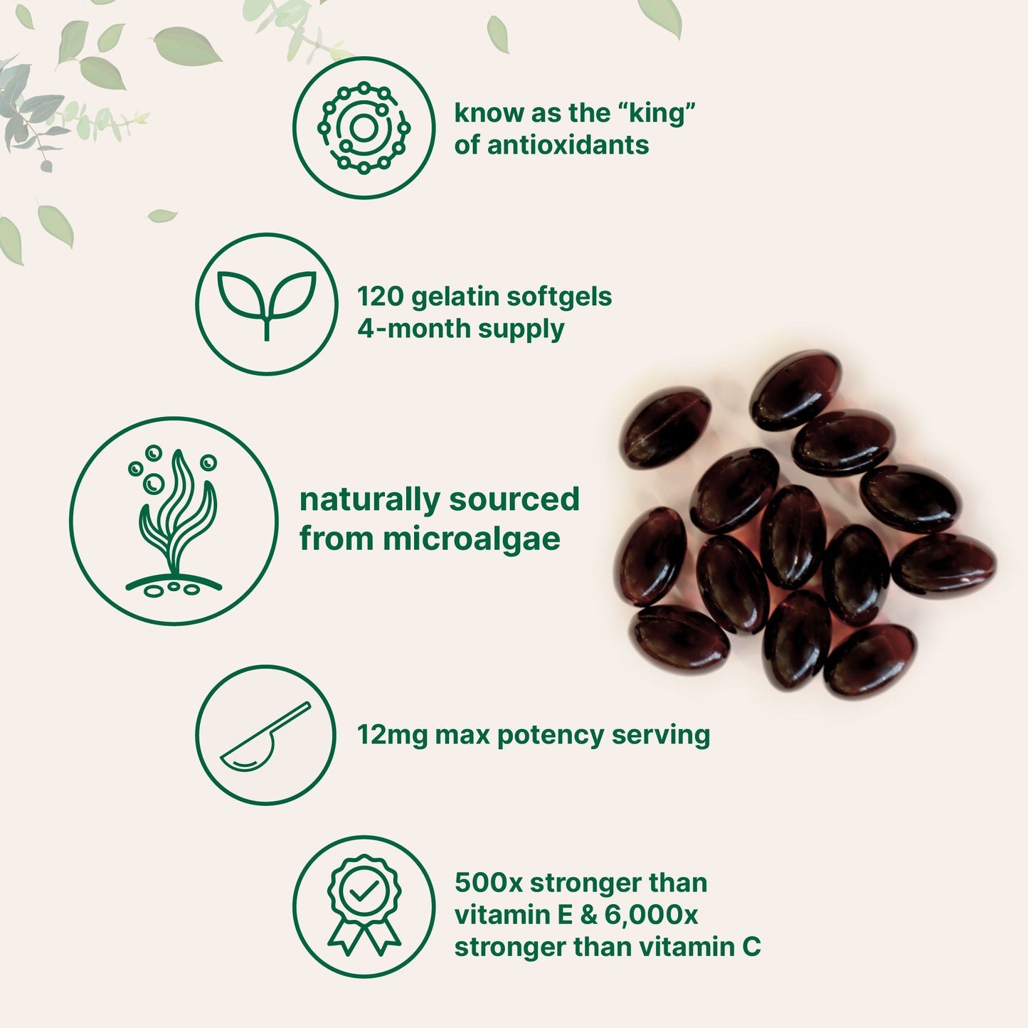 Micro Ingredients Astaxanthin 12mg, 120 softgels