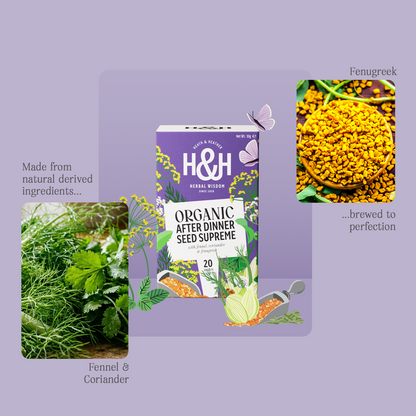 H&H After Dinner Seed Supreme Herbal Tea