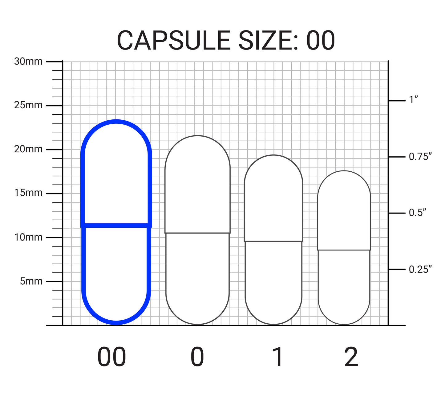 Electrolyte Capsules with Potassium and Magnesium – 160 Vegetable Capsules