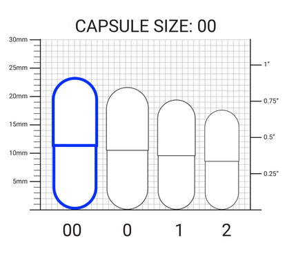Electrolyte Capsules with Potassium and Magnesium – 160 Vegetable Capsules