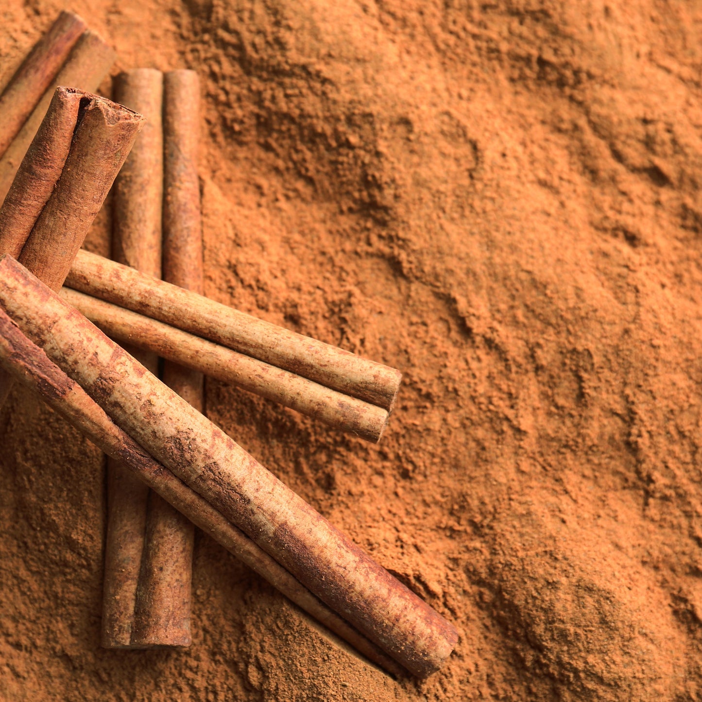 Natural bio Ceylon Cinnamon Powder