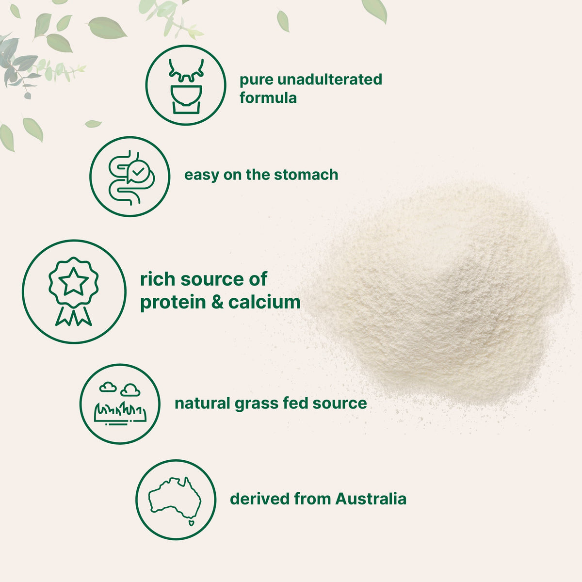 Micro Ingredients Goat Milk Powder-2LB, Rich in Protein, Calcium, & Probiotics