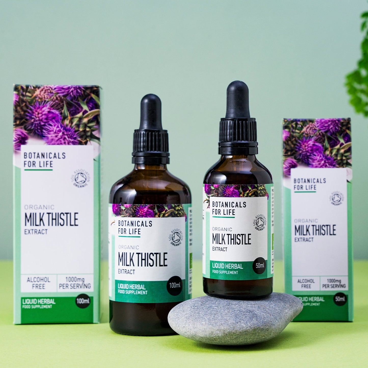 Organic Milk Thistle Extract