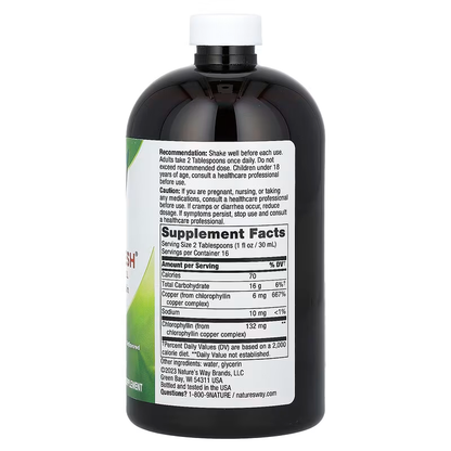 Nature's Way, Chlorofresh, Liquid Chlorophyll, mint, 16 fl oz (480 ml)