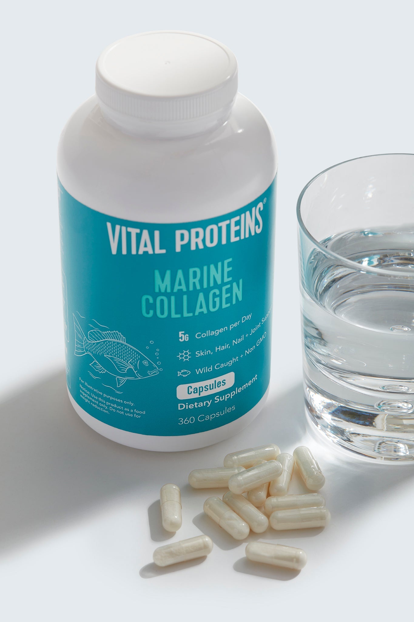 VITAL PROTEIN Marine Collagen - Unflavored