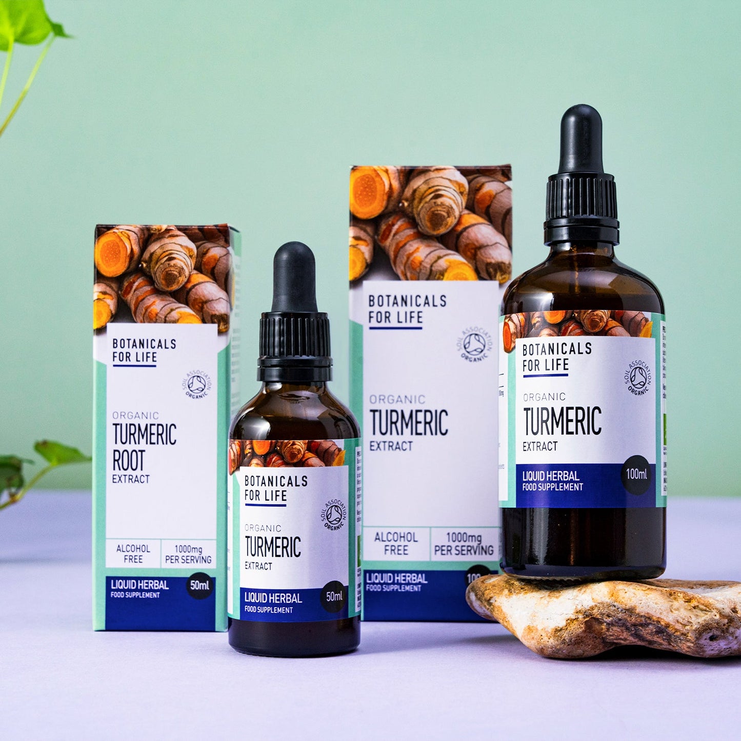 Organic Turmeric Extract