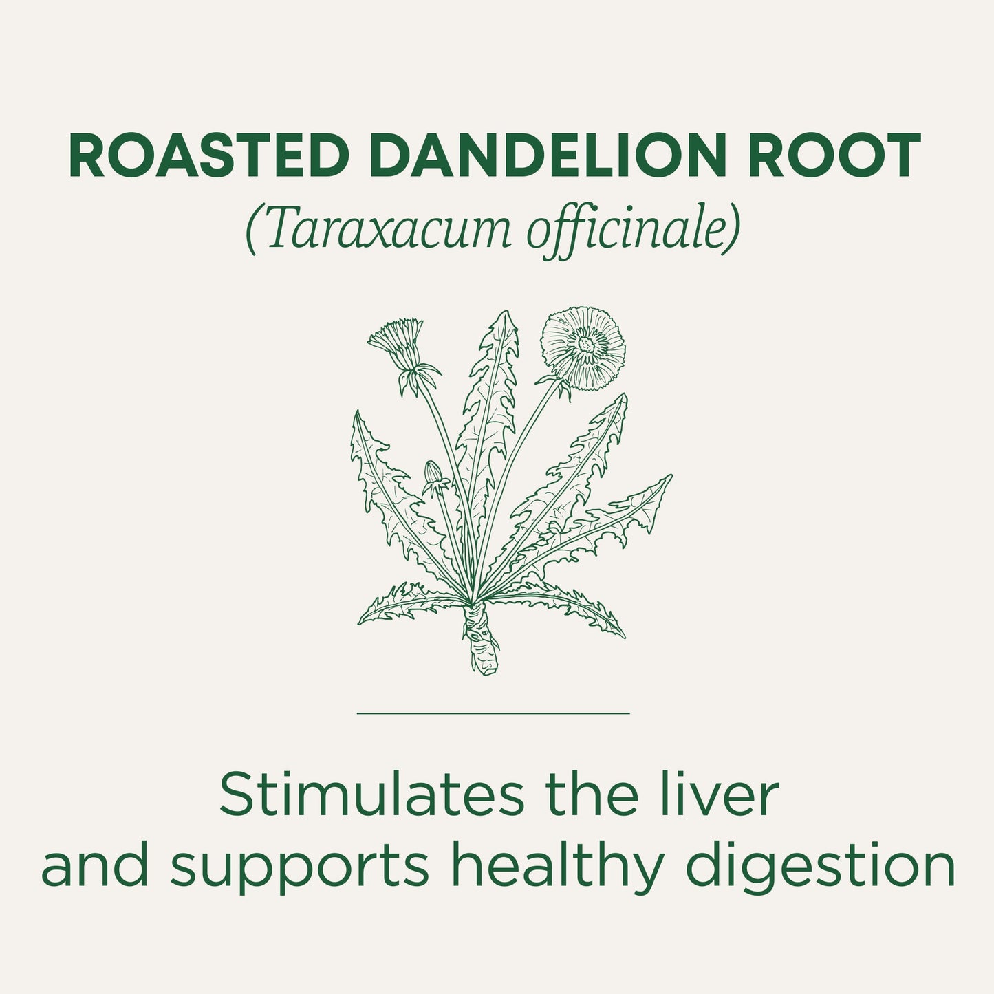 Roasted Dandelion Root Tea