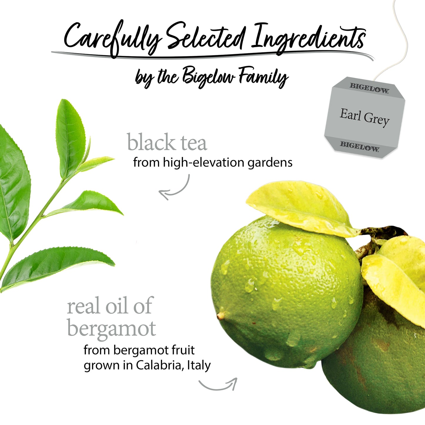 bigelow Earl Grey Black Tea