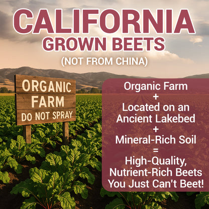 Organic Beetroot Juice Powder – Raw, Fresh, USDA Organic - 3.18 oz