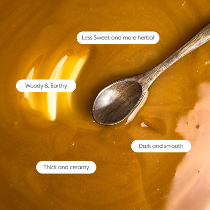 240 MGO Manuka Honey 500g - Monofloral