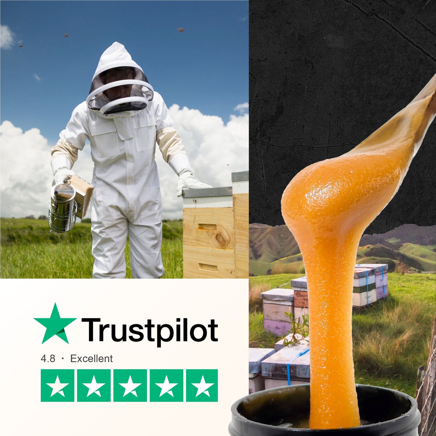 1200 MGO Manuka Honey 250g - Monofloral