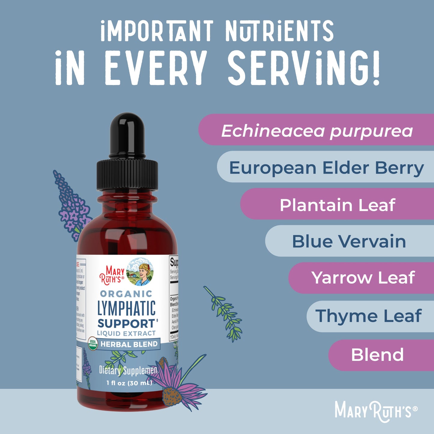 Organic Lymphatic Support Herbal Blend