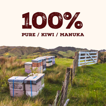 240 MGO Manuka Honey 500g - Monofloral