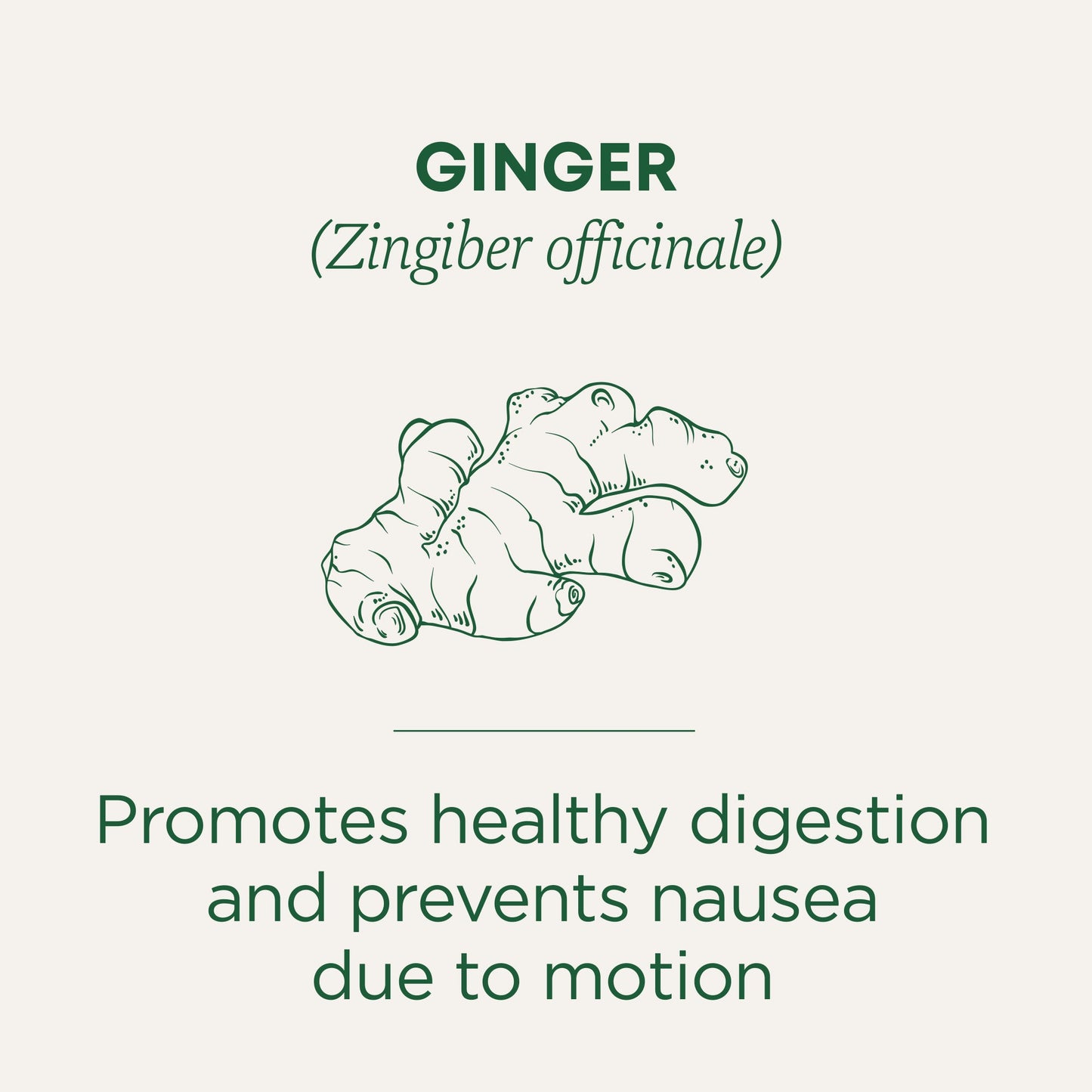 Ginger Tea