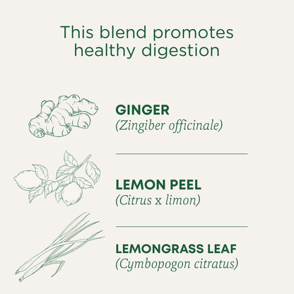 Lemon Ginger Tea