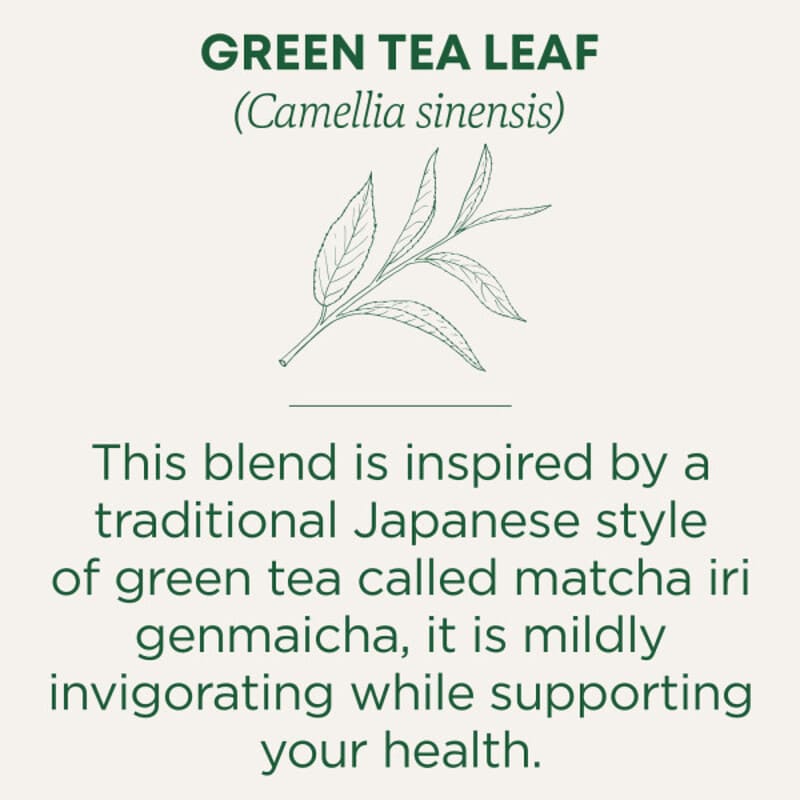 Traditional Medicinals, Organic Green Tea matcha with Toasted Rice, 16 Wrapped Tea Bags, 24 g (0.85 oz)