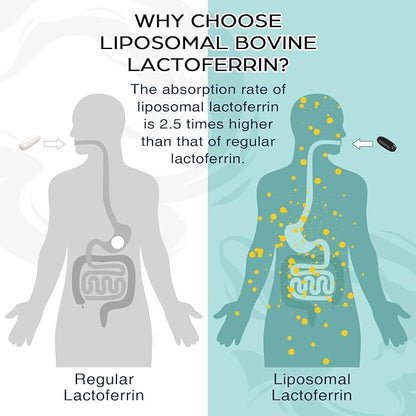 Liposomal Bovine Lactoferrin 1000 mg - Higher Absorption - for Iron Absorption & Immune Function Lactoferrin Supplements for Adults, 60 Softgels