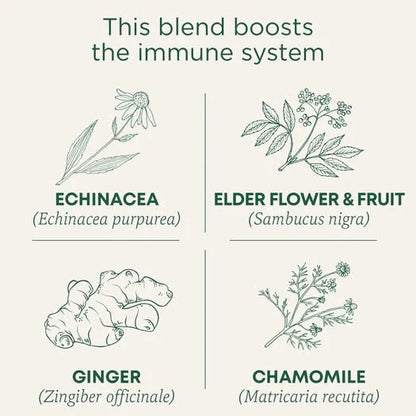 Traditional Medicinals - Organic Echinacea Plus® Elderberry Tea, 16s