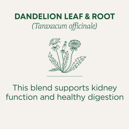 traditional medicinal Dandelion Leaf & Root Tea